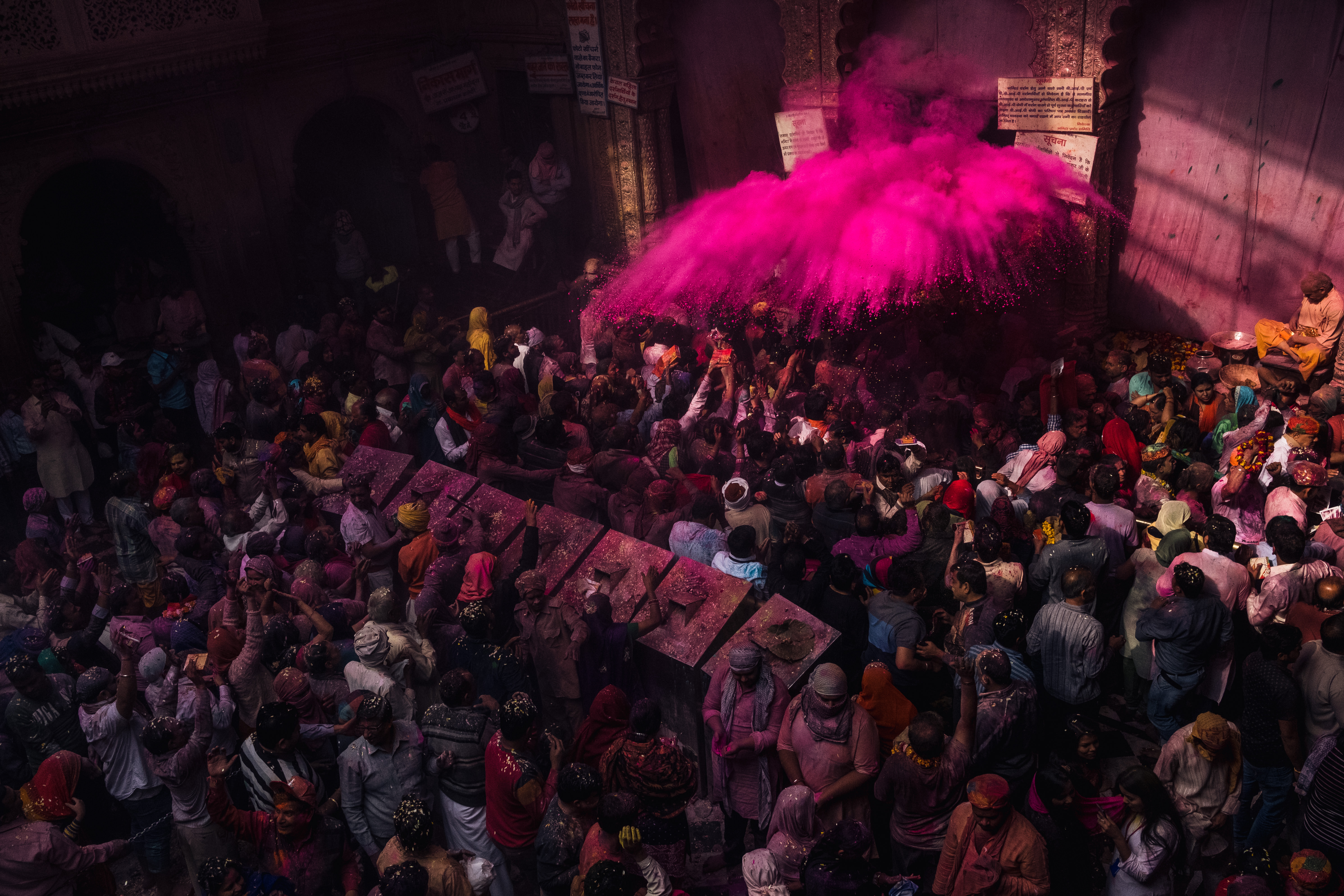 India Street Photography During Holi Festival. pink powder thrown on the crowd. Images by Jason Vinson