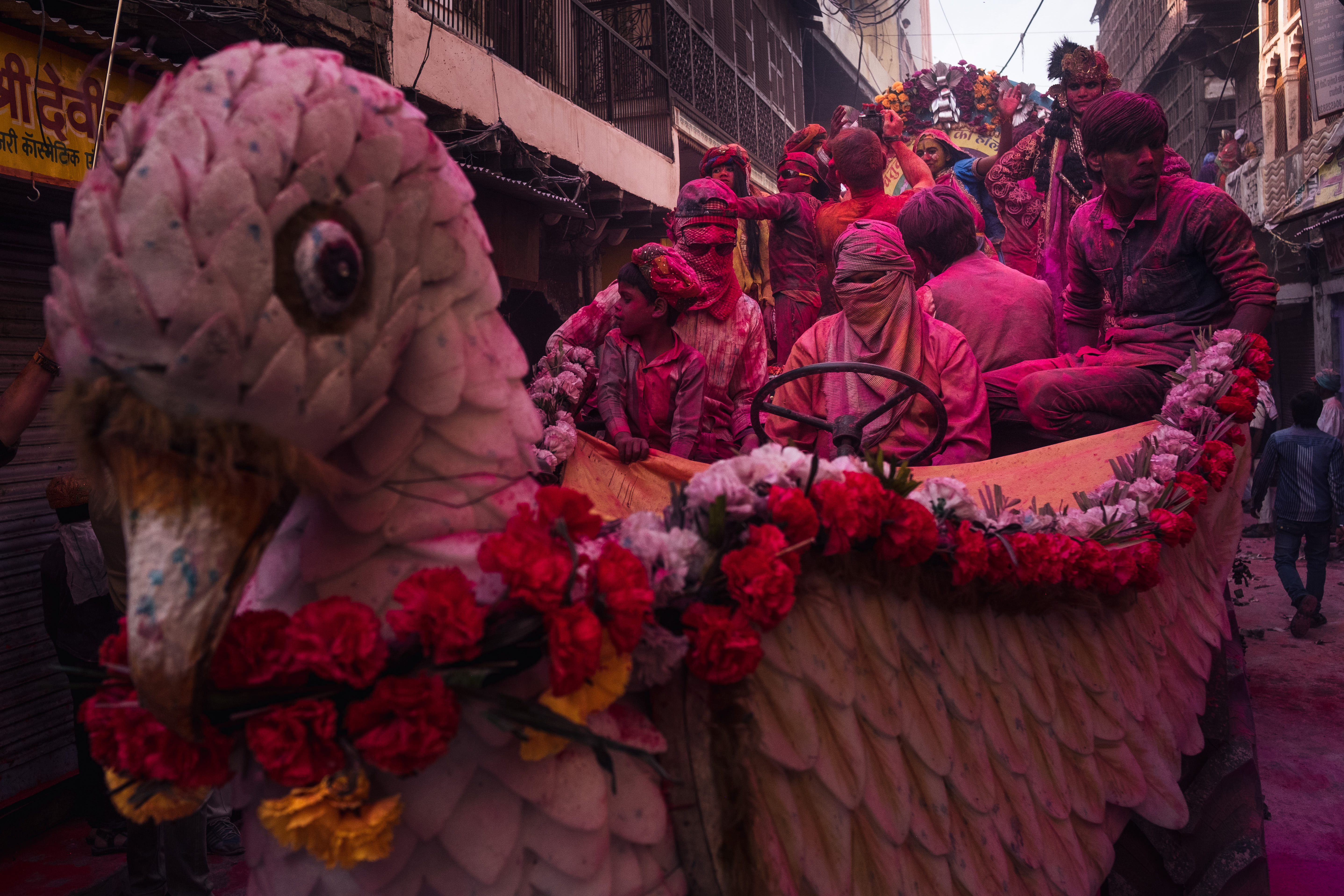 India Street Photography During Holi Festival. float and passengers covered in pink. Images by Jason Vinson