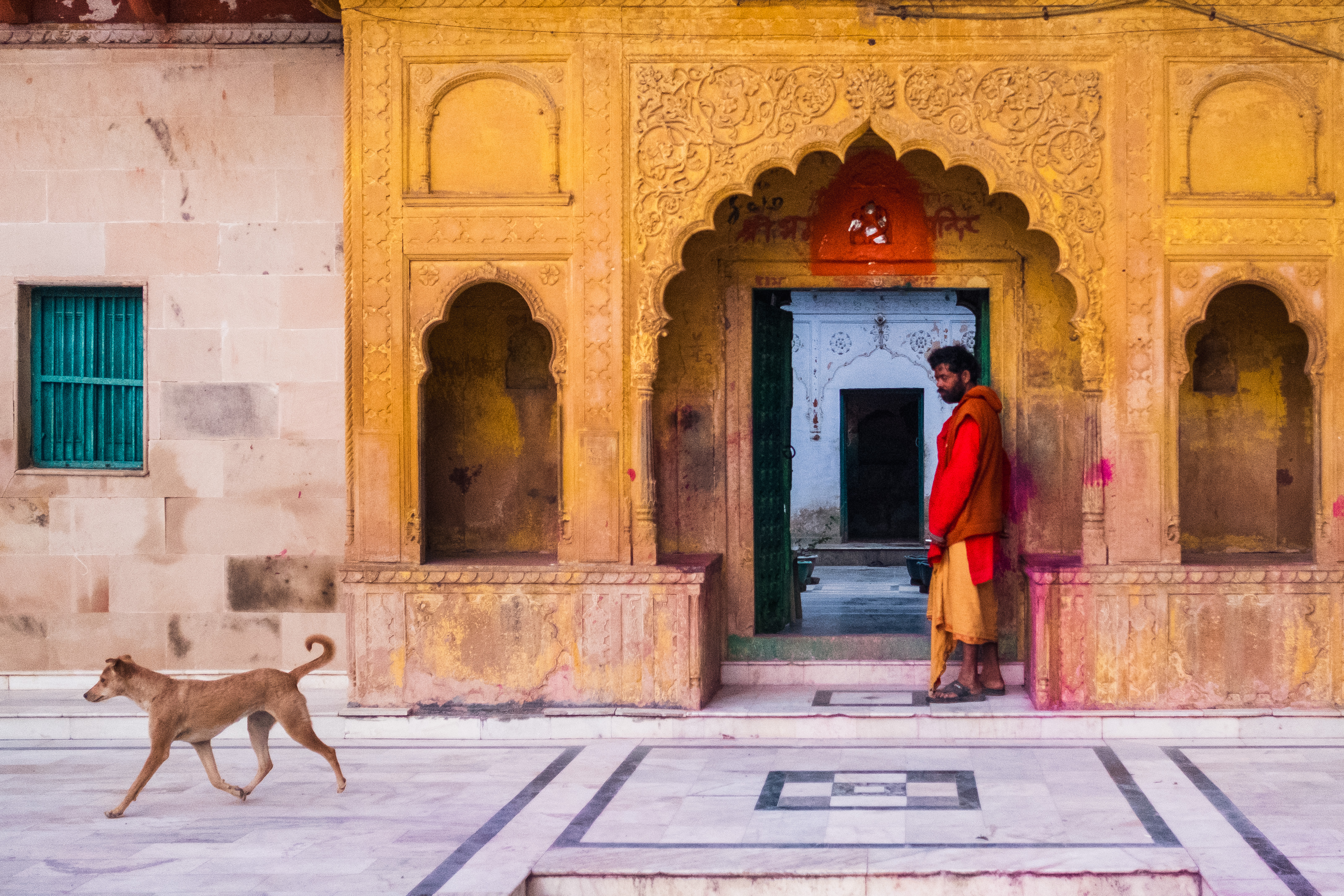 India Street Photography During Holi Festival. Man watches as a dog passes his doorway. Images by Jason Vinson