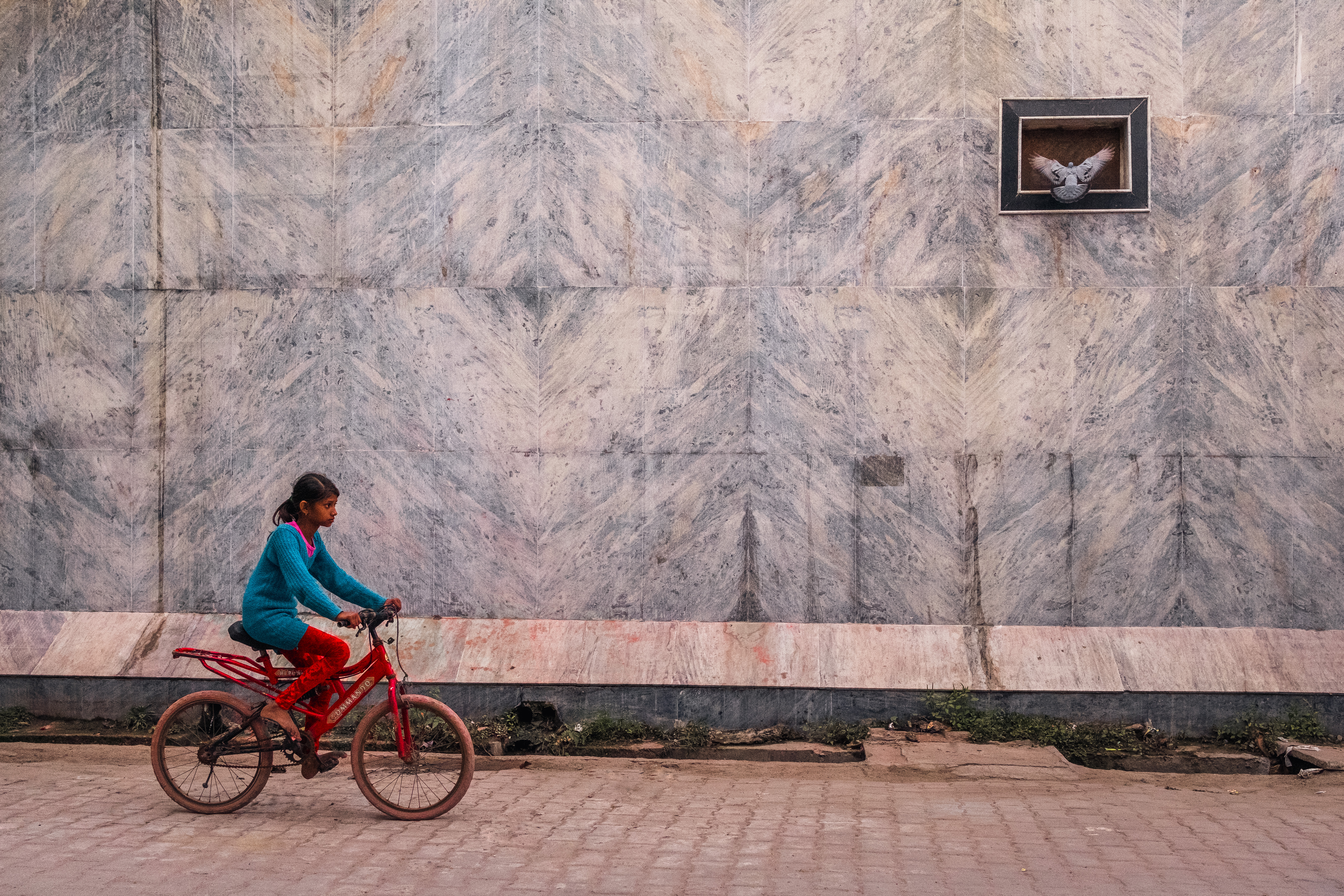 India Street Photography During Holi Festival. girl rides her red bike as a bird flaps his wings in a window. Images by Jason Vinson