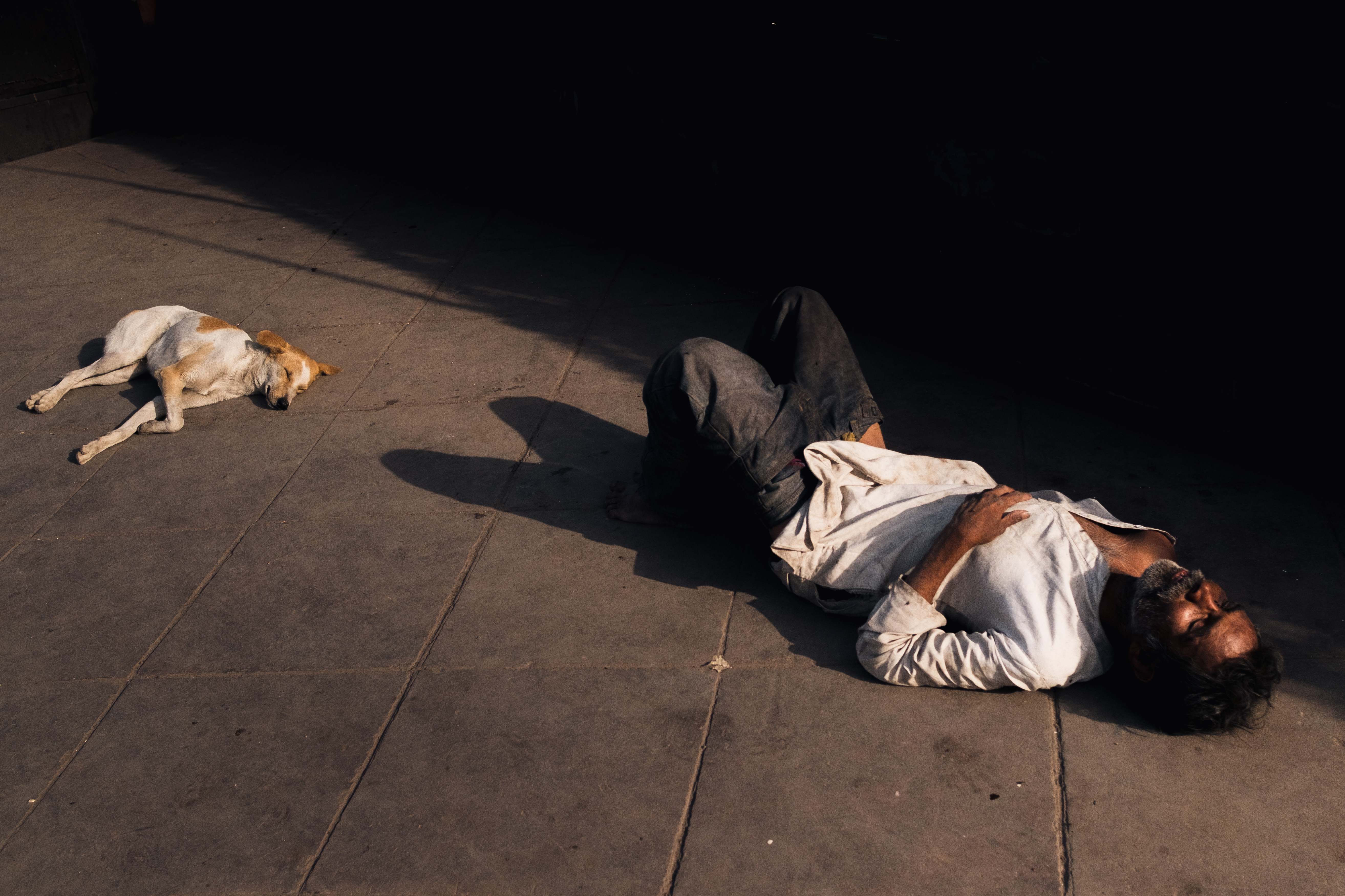 India Street Photography During Holi Festival. homeless man and stray dog sleep in the street. Images by Jason Vinson