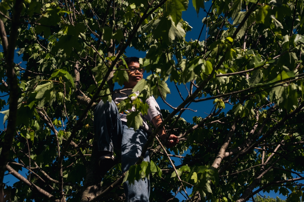 Family-documentary-photography-northwest-arkansas-vinson-images-climbing tree