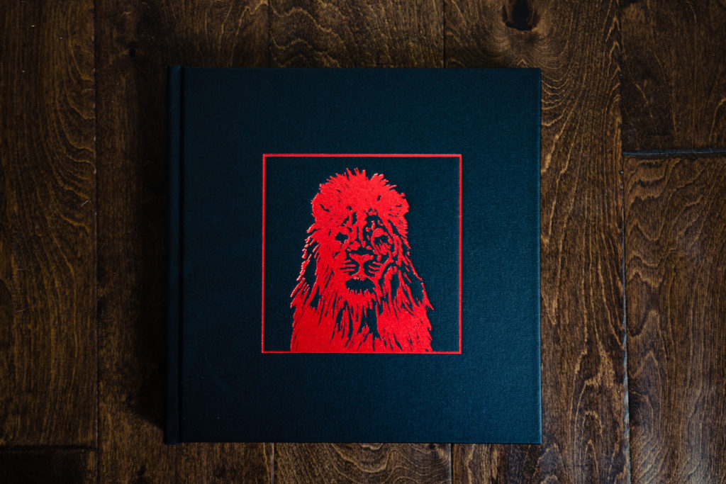 Vision-art-books-album-klintworth-oliver-the-strong-album-cover-lion-deboss