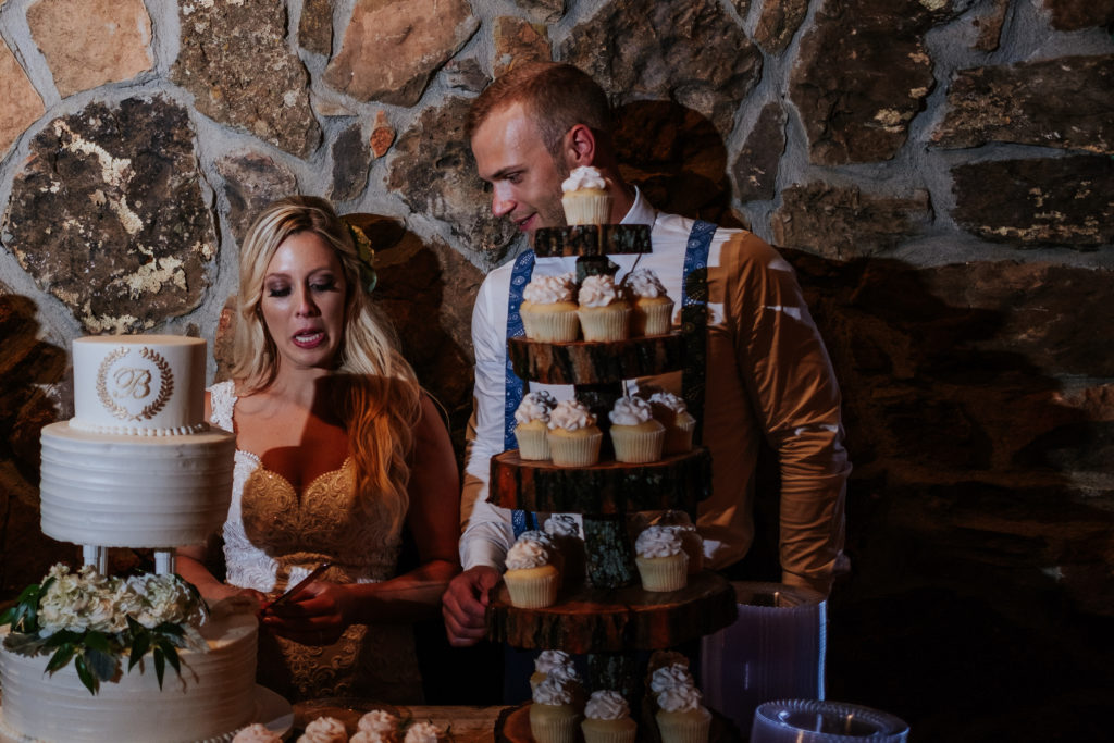 The Stone Chapel At Matt Lane Farms - Fayetteville Arkansas wedding -  rbide and groom cutting the cake