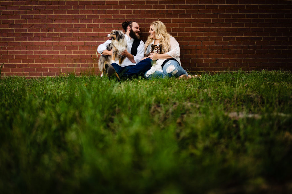 Northwest Arkansas Wedding Photography - Vinson Images - Downtown Rogers Engagement - coupe with puppies on lawn