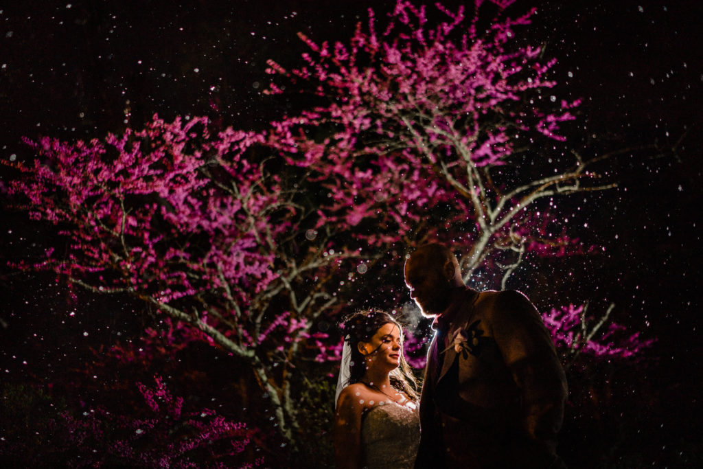 Couples portrait with blooming cherry blossoms 